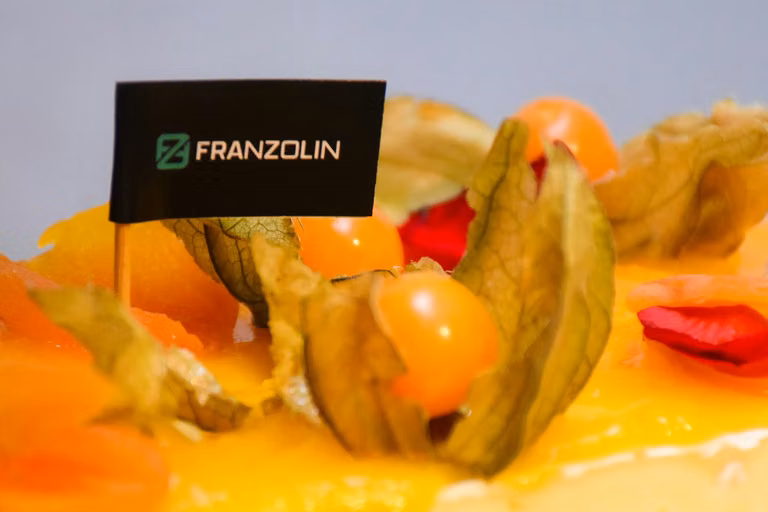 Franzolin Engenharia – foto 75