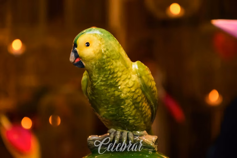 Noite Tropical – foto 74