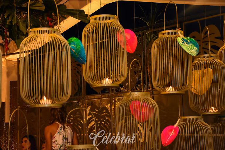 Noite Tropical – foto 78