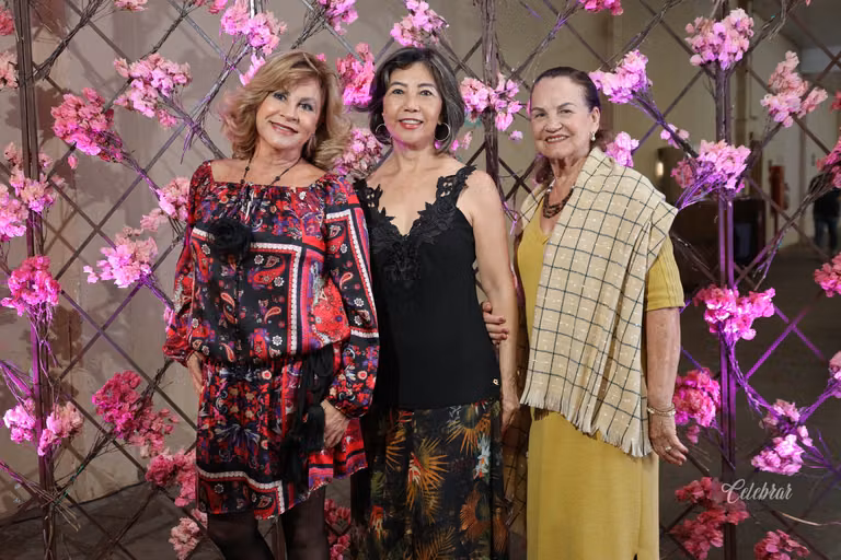Lançamento leilão direito de viver – foto 25