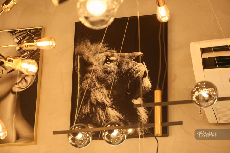 INAUGURAÇÃO CASA DO LED dourados – foto 90