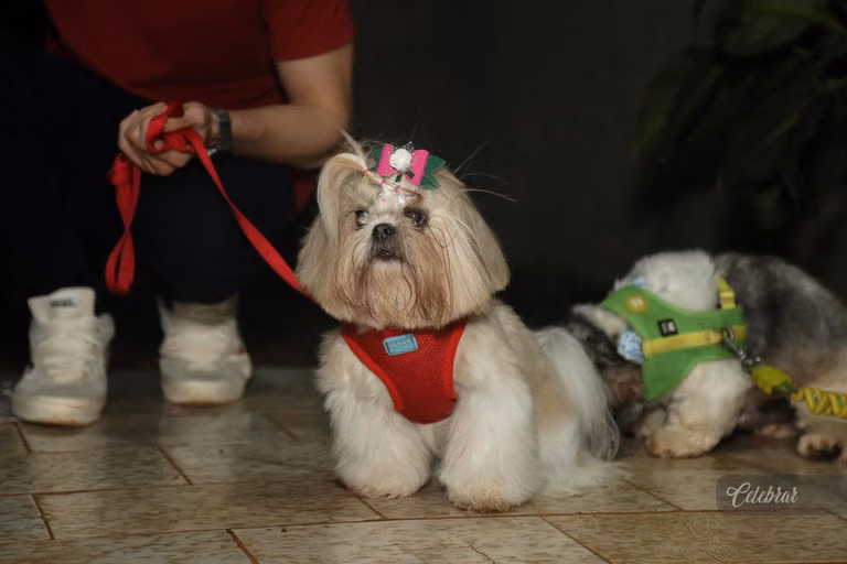 Lançamento snacks da tia sú – foto 71