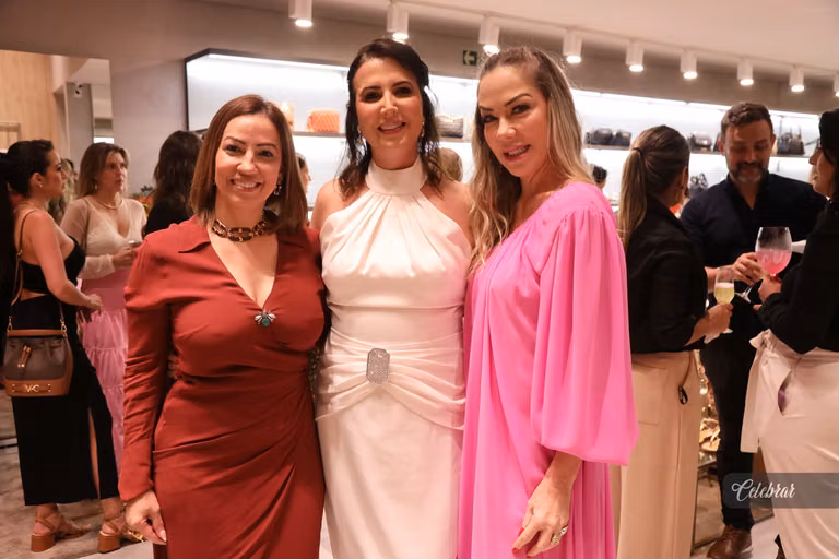 Inauguração luiza barcelos dourados – foto 215
