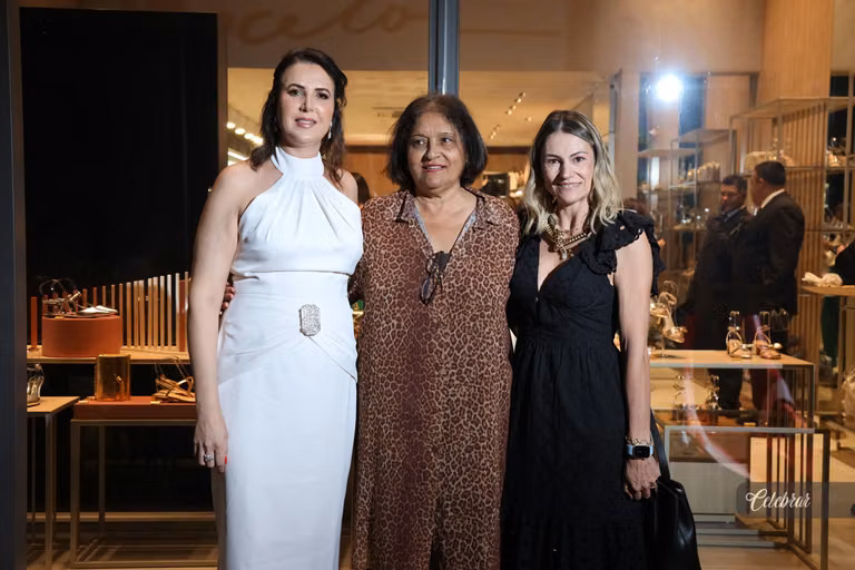 Inauguração luiza barcelos dourados – foto 57