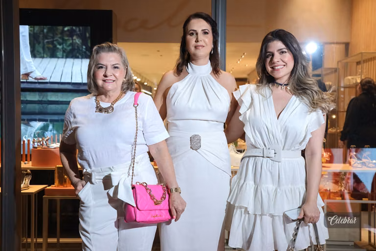 Inauguração luiza barcelos dourados – foto 65