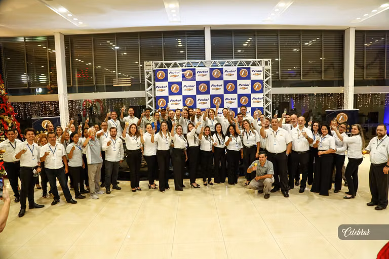 Perkal chevrolet dourados – foto 216