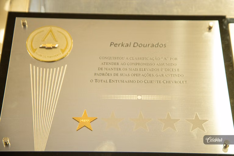 Perkal chevrolet dourados – foto 242