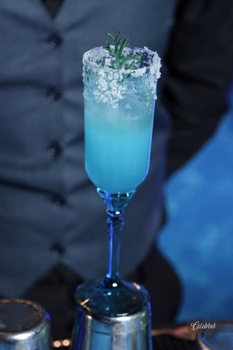 Nova carta de drinks malibu bartenders – foto 139