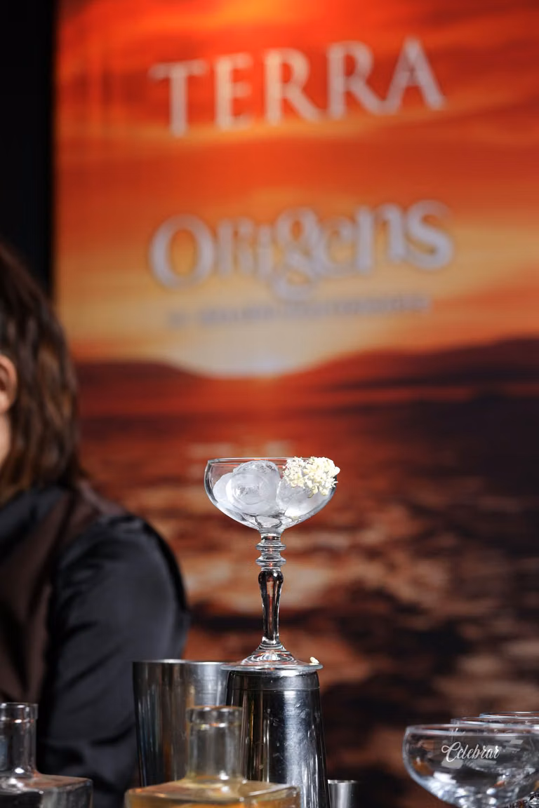Nova carta de drinks malibu bartenders – foto 180