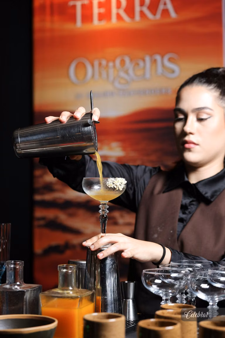 Nova carta de drinks malibu bartenders – foto 181