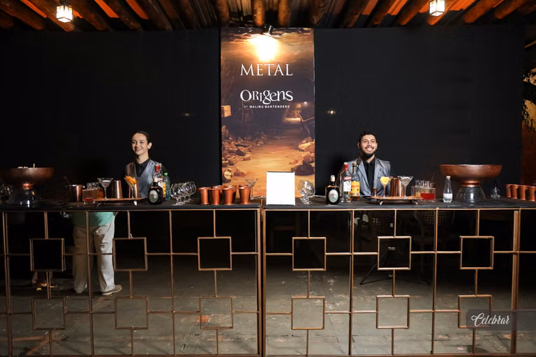 Nova carta de drinks malibu bartenders – foto 209
