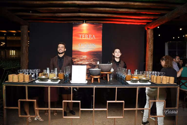 Nova carta de drinks malibu bartenders – foto 216