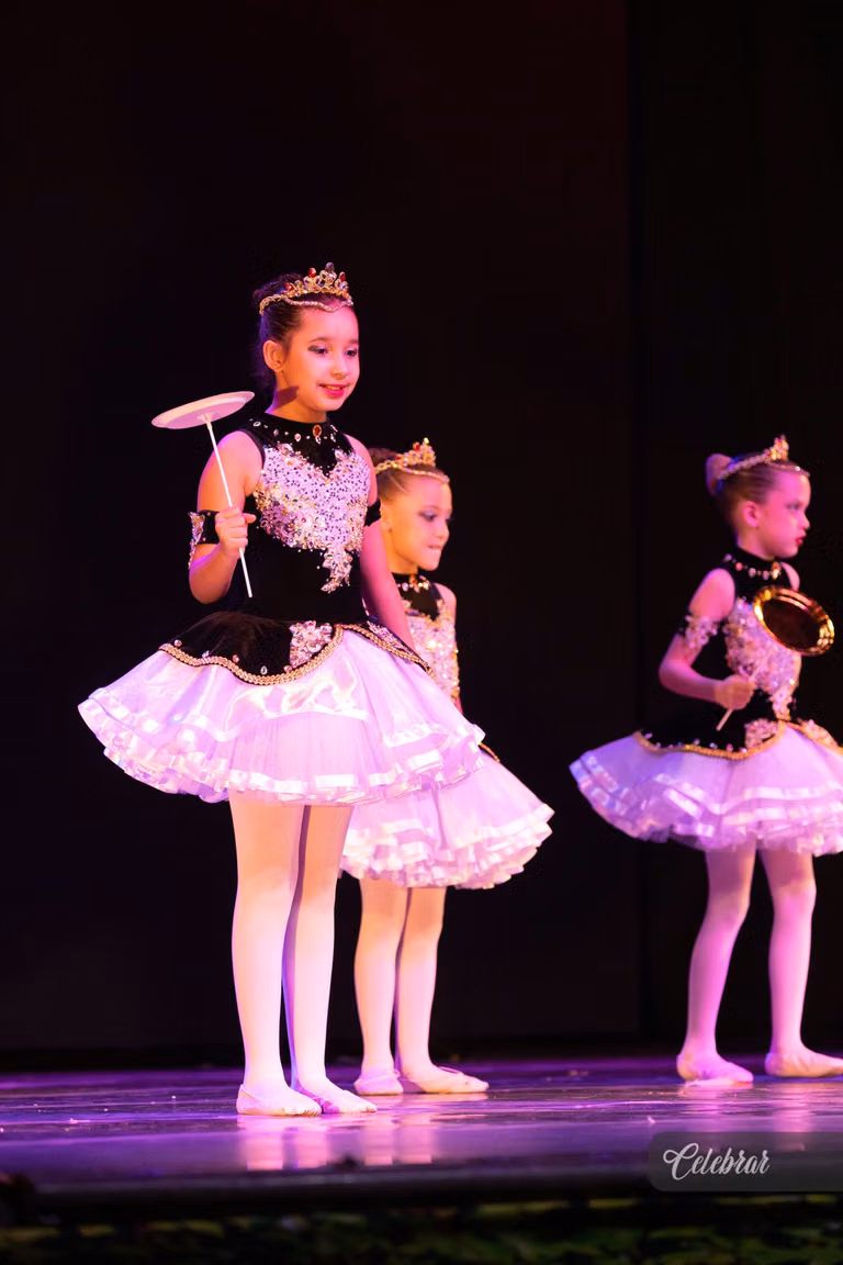 Academia de Dança Maria Ester – foto 103