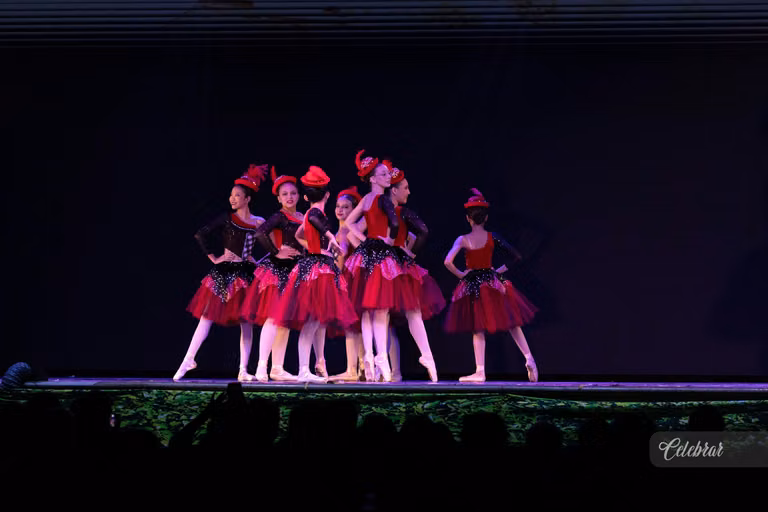 Academia de Dança Maria Ester – foto 114