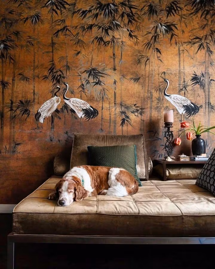 Parede Protagonista: Quando o Design de Interiores Fala Sobre Quem Você É