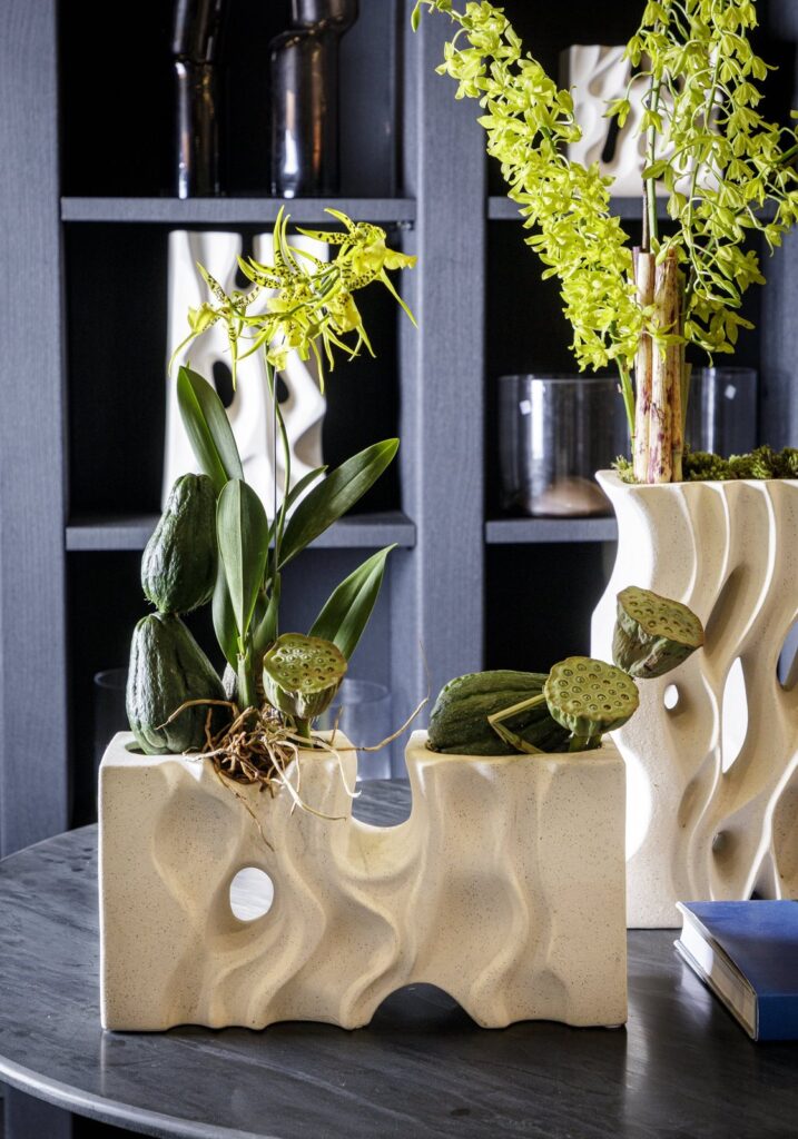 Apresento a Nova Coleção Raiz: Design que Conecta e Inspira — foto 5