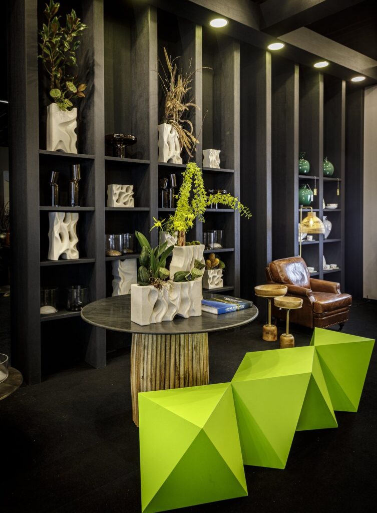 Apresento a Nova Coleção Raiz: Design que Conecta e Inspira — foto 7