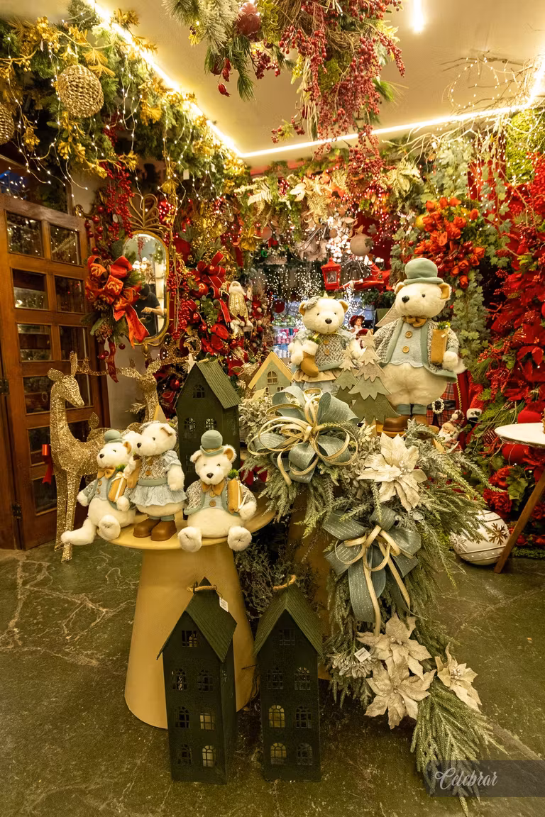 Uma noite para celebrar a magia do Natal e a beleza dos novos ciclos. – foto 13