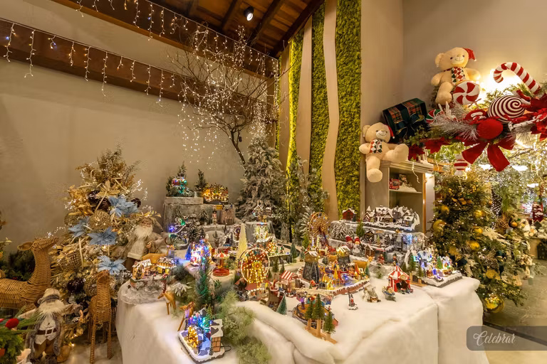 Uma noite para celebrar a magia do Natal e a beleza dos novos ciclos. – foto 31